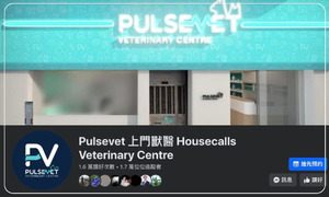 Pulsevet 上門獸醫 Housecalls Veterinary Centre