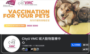 CityU VMC 城大動物醫療中心