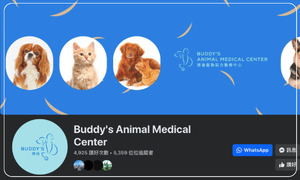 Buddy s Animal Medical Center 