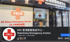 VEC 香港獸醫急症中心