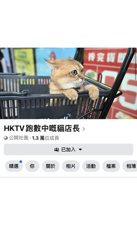 HKTV 跑數中嘅貓店長