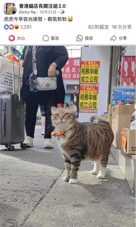 虎虎今早容光煥發，朝氣勃勃