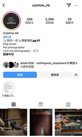 Catsfoto_hk