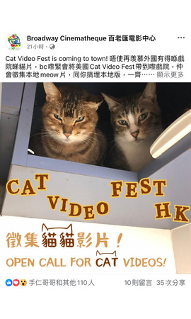 Cat Video Fest is coming to town! 