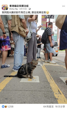 我同阻B講好耐冇等巴士喇，跟住就啤住我