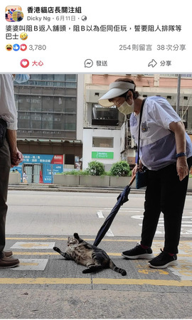 婆婆叫阻B返入舖頭