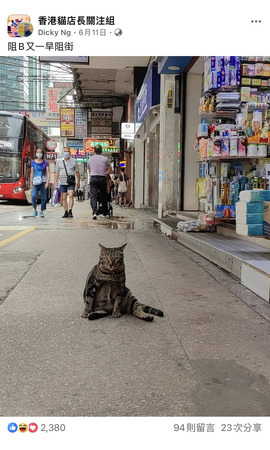 阻B又一早阻街