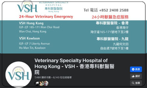 Veterinary Specialty Hospital of Hong Kong - VSH - 香港專科獸醫醫院