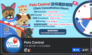 Pets Central 