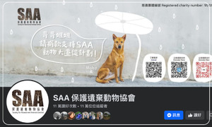 SAA 保護遺棄動物協會