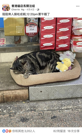 阻阻俾人摸咗成朝,12:20pm要午睡了