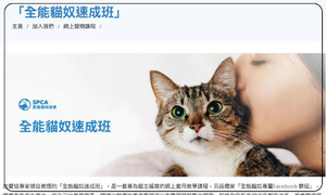 SPCA 全能貓奴速成班