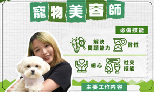 【砌出專業 - 寵物美容師】VTC 入學資訊分享平台