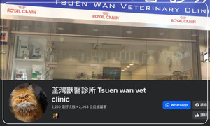 荃灣獸醫診所 Tsuen wan vet clinic