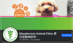 麥花臣動物診所 Macpherson Animal Clinic