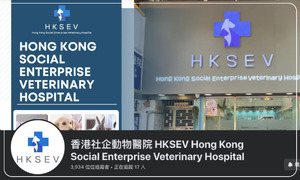 香港社企動物醫院