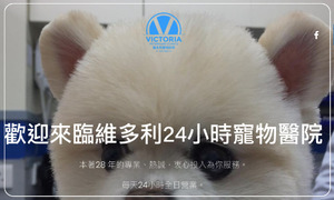 維多利24小時寵物醫院 Victoria 24-Hour Veterinary Hospital