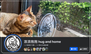 浪浪抱抱 hug and home