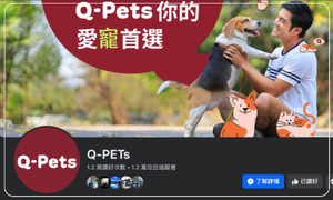 Q-PETs