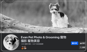 Evan Pet Photo & Grooming 寵物攝影 寵物美容