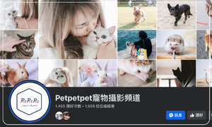 Petpetpet寵物攝影頻道