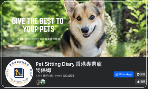 Pet Sitting Diary 香港專業寵物保姆