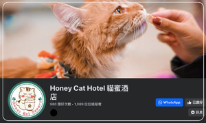 Honey Cat Hotel 貓蜜酒店