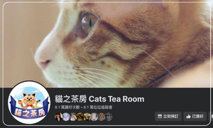 貓之茶房 Cats Tea Room