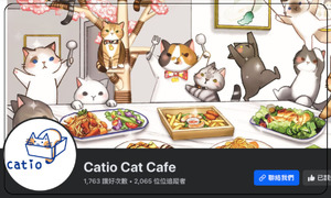 Catio Cat Cafe