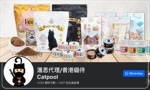 貓侍 Catpool